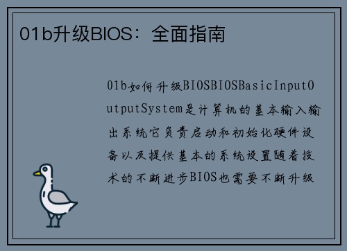 01b升级BIOS：全面指南