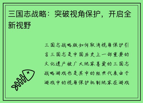 三国志战略：突破视角保护，开启全新视野